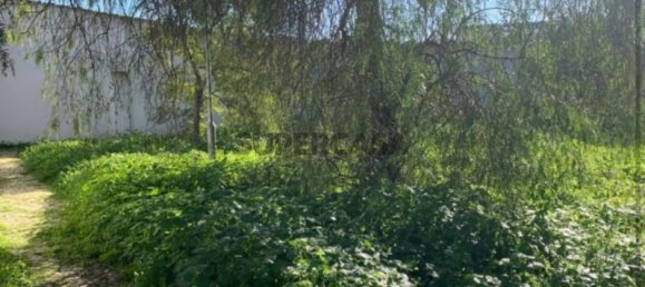 Land in Montijo, Portugal No. 163132 9