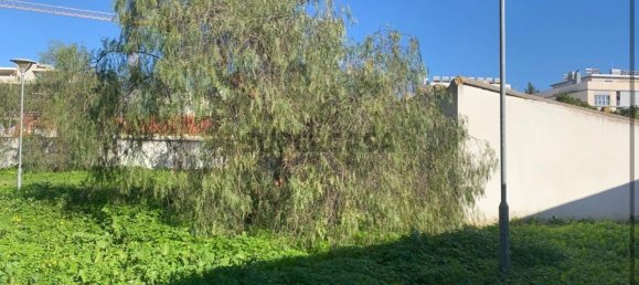 Land in Montijo, Portugal No. 163132 8