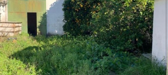 Land in Montijo, Portugal No. 163132 12