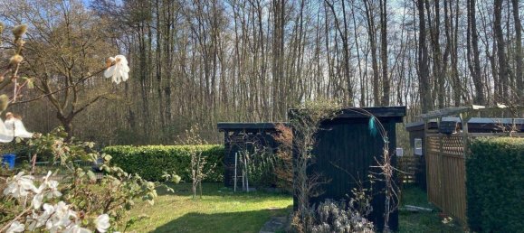 Студия в Людвигслуст-Пархим, Германия № 263221 3