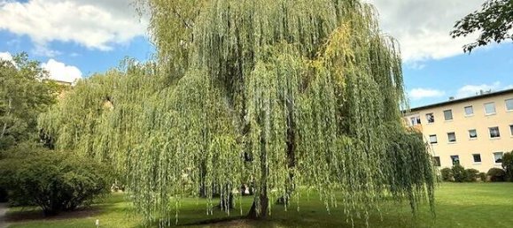 2 غرف نوم شقة في Lichtenrade, Germany رقم 351431 10