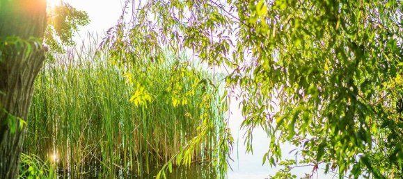  Land in Brandenburg an der Havel, Germany No. 231542 4