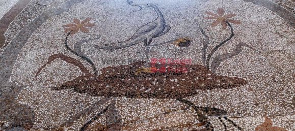 12 غرف نوم شقة في Venice, Italy رقم 326776 12