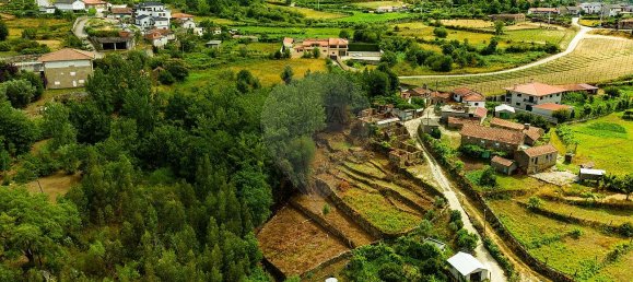 6 غرف نوم منزل في Marco de Canaveses, Portugal رقم 28991 4