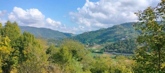 Дом с 6 комнатами в Монезильо, Италия № 75945 17