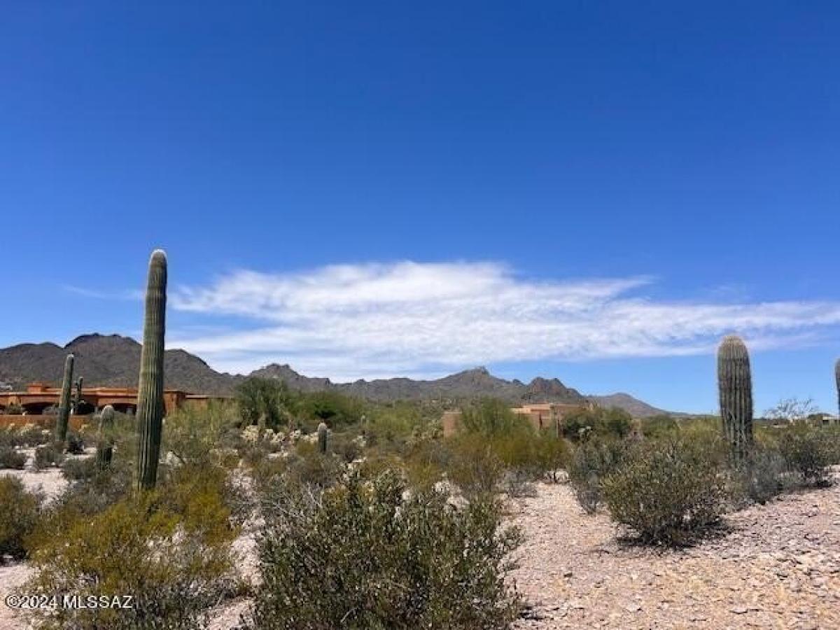  Land in Tucson, USA No. 499957