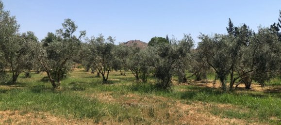 Terrain à Cartama, Spain No. 161464 2