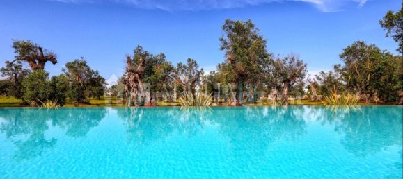 7 chambres Villa à Diso, Italy No. 170399 11