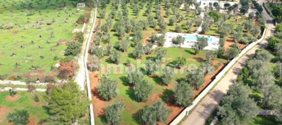 7 chambres Villa à Diso, Italy No. 170399 12