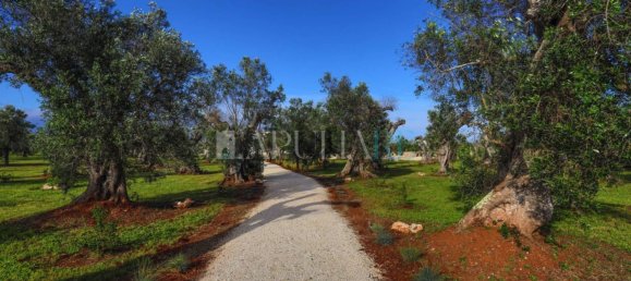 7 chambres Villa à Diso, Italy No. 170399 28