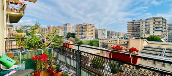 2 rooms Apartment in Catania, Italy No. 129854 10