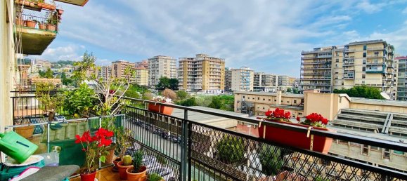 2 rooms Apartment in Catania, Italy No. 129854 30