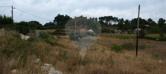 Grundstück in Sernancelhe, Portugal 5230m², Nr. 47215 5