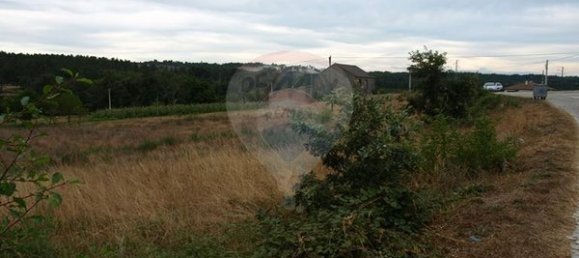 Grundstück in Sernancelhe, Portugal 5230m², Nr. 47215 6