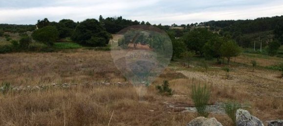 Grundstück in Sernancelhe, Portugal 5230m², Nr. 47215 2