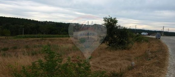 Grundstück in Sernancelhe, Portugal 5230m², Nr. 47215 11