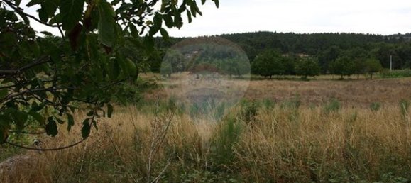 Grundstück in Sernancelhe, Portugal 5230m², Nr. 47215 9