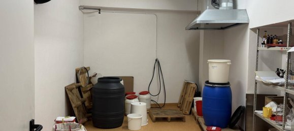 Gewerbliche Immobilie in Karlstein an der Thaya, Austria 350m², Nr. 185769 6