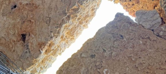 1 chambre Maison à Sa Pobla, Spain No. 154334 15