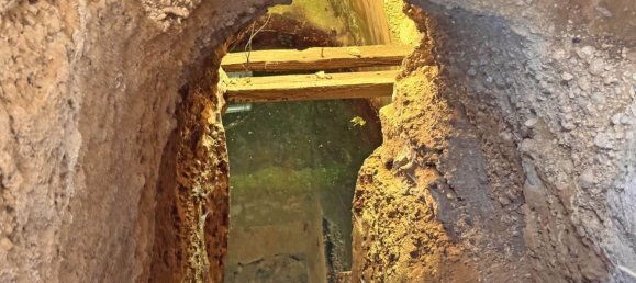 1 chambre Maison à Sa Pobla, Spain No. 154334 13