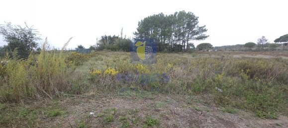 3 bedrooms House in Sintra, Portugal No. 147942 28