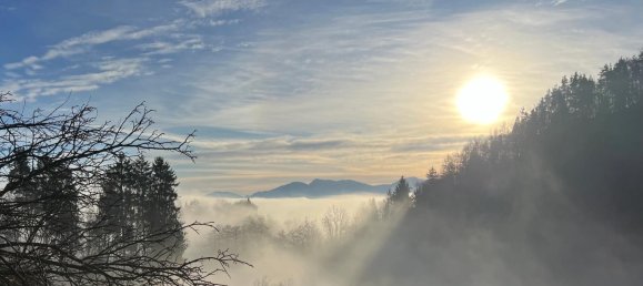  Land in Keutschach am See, Austria No. 129696 8