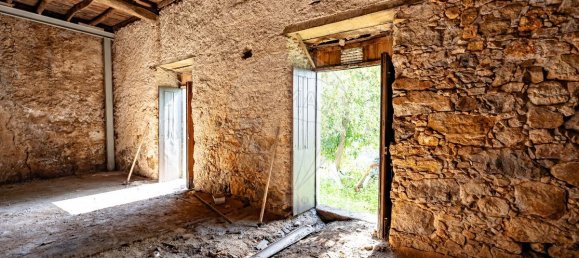 5 chambres Maison à Penacova, Portugal No. 66042 47