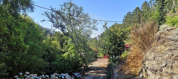 3 غرف نوم منزل في Ribeira Brava, Portugal رقم 66112 21