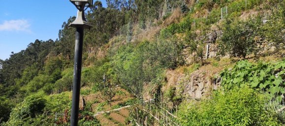 3 غرف نوم منزل في Ribeira Brava, Portugal رقم 66112 3