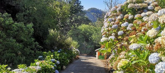 3 غرف نوم منزل في Ribeira Brava, Portugal رقم 66112 2