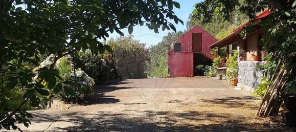 3 غرف نوم منزل في Ribeira Brava, Portugal رقم 66112 10