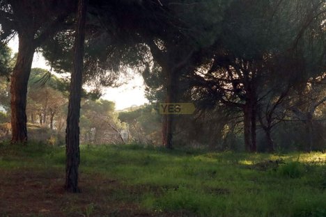  قطعة أرض في Almancil, Portugal 530متر مربع رقم 70832