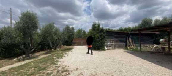 5 rooms Apartment in Montalto di Castro, Italy No. 205024 13