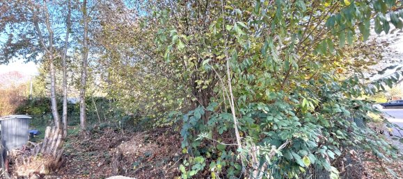  قطعة أرض في Brandenburg, Germany رقم 109329 2