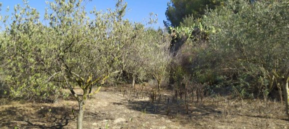 59000m² Land in Balestrate, Italy No. 109602 2