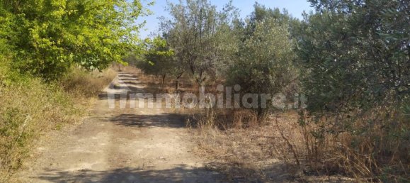 59000m² Land in Balestrate, Italy No. 109602 3