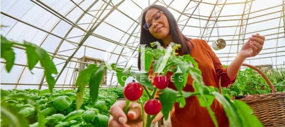 1 bedroom Apartment in Yas Island, UAE No. 26001 4