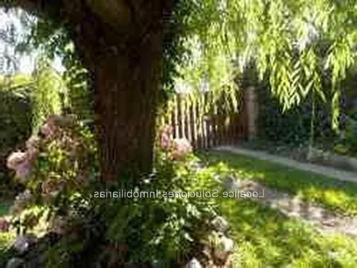 4 bedrooms House in Canelones, Uruguay No. 7750