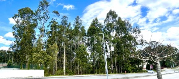 Terrain à Cesar, Portugal 2450m² No. 81479 4