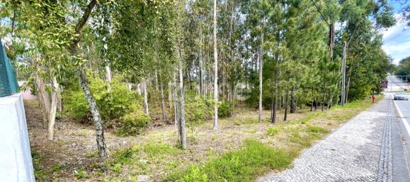 Terrain à Cesar, Portugal 2450m² No. 81479 6