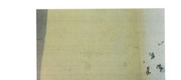 2 bedrooms Apartment in Scandicci, Italy No. 44250 12