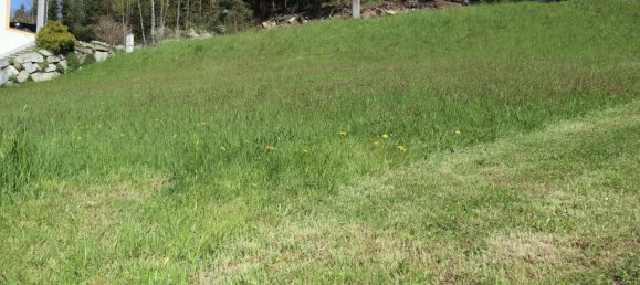 Grundstück in Weitersfelden, Austria, Nr. 118253 2