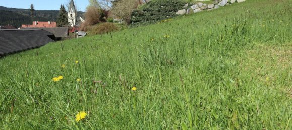 Grundstück in Weitersfelden, Austria, Nr. 118253 3