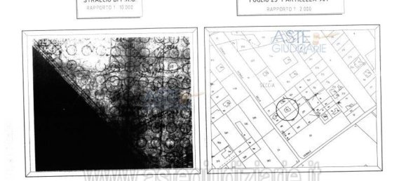 11غرفة منزل في Nettuno, Italy رقم 191835 19