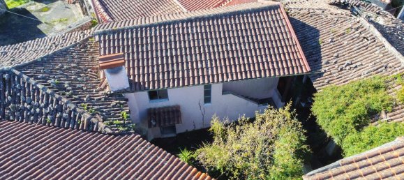 3 bedrooms House in Serzedelo, Portugal No. 177772 5