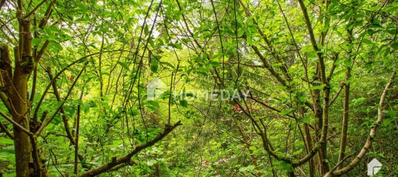 3 chambres Maison à Sankt Wendel, Germany No. 26471 2