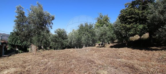 3 Schlafzimmer Haus in Abadim, Portugal, Nr. 40692 10