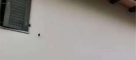 4 bedrooms House in Udine, Italy No. 363096 14