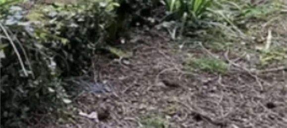 4 bedrooms House in Udine, Italy No. 363096 32