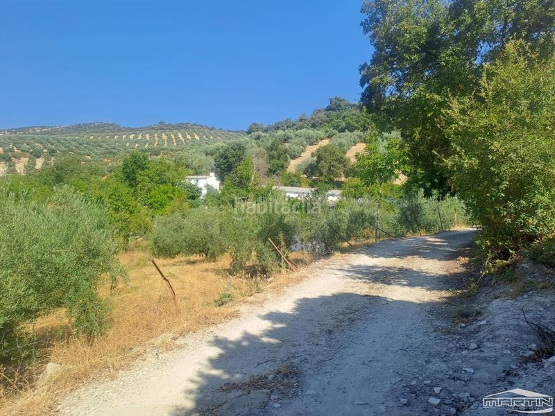 4 غرف نوم منزل في Cabra, Spain رقم 142137